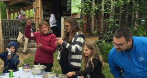 Comprendre les propriétés de la tisane d’avoine