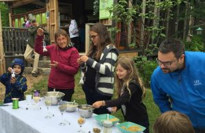 Comprendre les propriétés de la tisane d’avoine