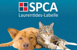 Un service animalier éthique et transparent