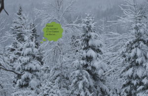 Chapitre 6: Reconnaissance