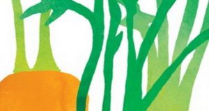 Lancement du projet Cultiver son village