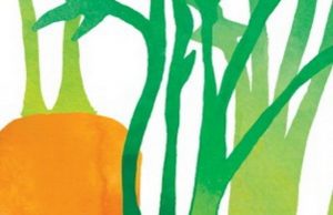 Lancement du projet Cultiver son village