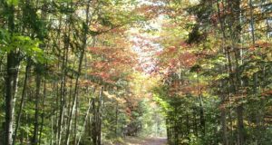 La grande (et la petite) histoire de notre Parc (partie 3)