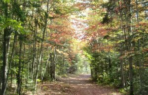 La grande (et la petite) histoire de notre Parc (partie 3)