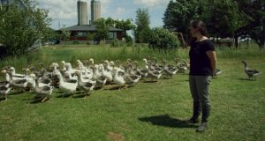 Projection gratuite du film La ferme et son État à Val-David