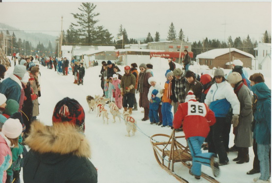 traineau chiens 4_redimensionner