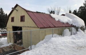 La grange Guindon: un élément du patrimoine bâti qui croule sous la neige?