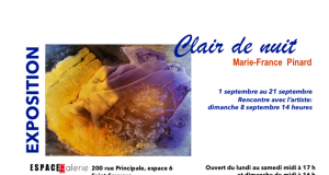 Clair de nuit, de Marie-France Pinard