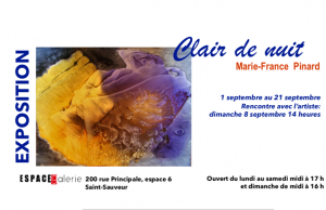 Clair de nuit, de Marie-France Pinard