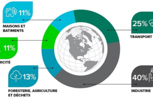 Votez pour le plus crédible