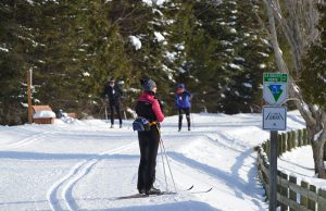 SUR LES CHEMINS de neige…