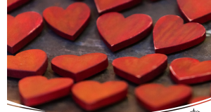 Appel à la solidarité