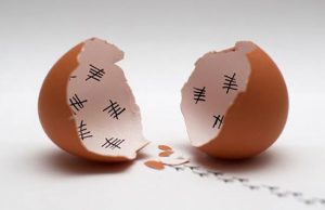 Le poussin scolaire
