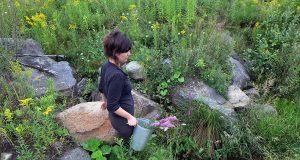 L’arrivée des fermes florales au Québec et le métier de « fermière-fleuriste » Annie Lord