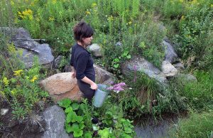 L’arrivée des fermes florales au Québec et le métier de « fermière-fleuriste » Annie Lord