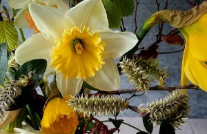 Horticulture : Créer un bouquet de fleurs