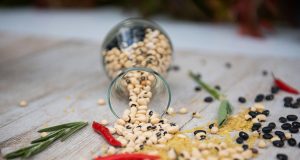 Chronique végétalienne : les protéines végétales