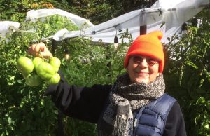 Occupations pandémiques : Les tomates de Bonnie Baxter