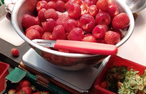 Ah! les fraises et les framboises…