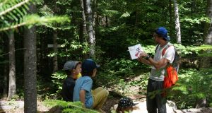 SUR LES TRACES D’UNE HISTOIRE – Sentier ludique rempli d’histoires