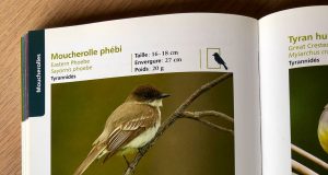 Un sport… de l’esprit!