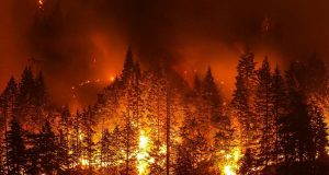 Notre sort est entre leurs mains (Première partie)