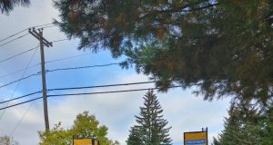 Le Marathon du P’tit Train du Nord