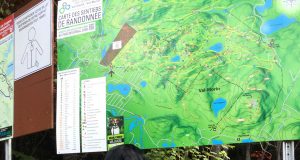 Fin de travaux sur les sentiers du mont King et Condor