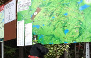 Fin de travaux sur les sentiers du mont King et Condor