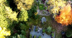 THE PATCH, de Bonnie Baxter : occupations pandémiques