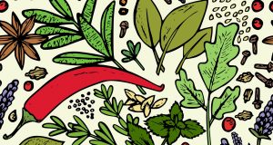 Espace chef : Le clou de girofle