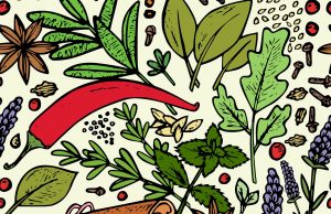 Espace chef : Le clou de girofle