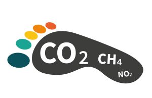 Environnement : Notre empreinte carbone : à éliminer absolument
