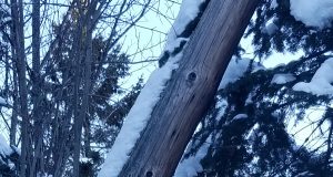 Aide financière à Ivry-sur-le-Lac pour son réseau routier local