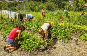 Cultiver Val-David : Inscriptions et AGA