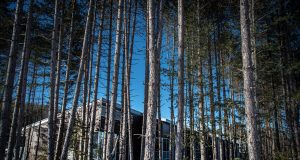 Quel est le rôle d’un cégep de région?