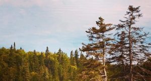 Jeunes journalistes : La vanlife, à la mode de chez nous