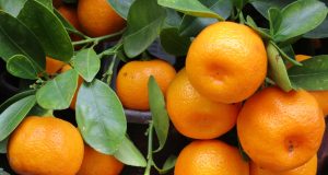 Santé et beauté : Traiter la cellulite avec les actifs les plus performants