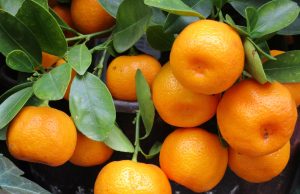 Santé et beauté : Traiter la cellulite avec les actifs les plus performants