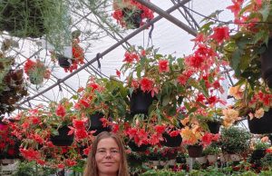 Achat local, choix qualité : Dominique sans frontières