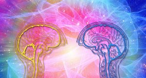 Le trouble déficitaire de l’attention avec ou sans h