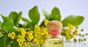 Santé et beauté : Les sérums, des alliés essentiels