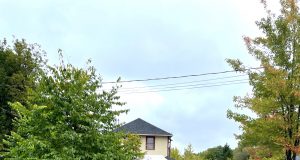 Découvrir Sainte-Adèle 14 : Le P’tit Train du Nord, naturellement vert!