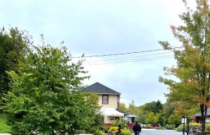 Découvrir Sainte-Adèle 14 : Le P’tit Train du Nord, naturellement vert!