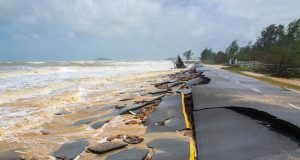 Environnement : Atténuation vs adaptation