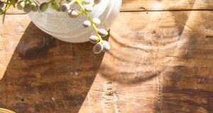 Joignez-vous à nous le 19 novembre