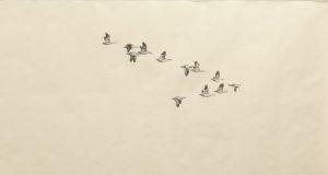 Centre d’exposition de Val-David : Rêver de prendre soin dans une perspective intergénérationnelle