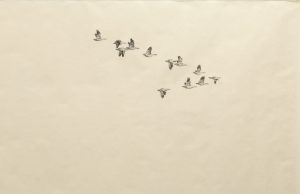 Centre d’exposition de Val-David : Rêver de prendre soin dans une perspective intergénérationnelle