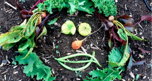 Cultiver Val-David : Soirée d’information et AGA