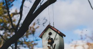 Immobilier : Vendre à l’automne